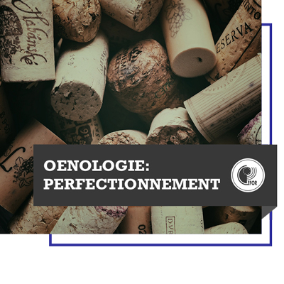 Oenologie : Perfectionnement (hors France)