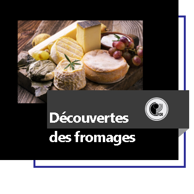 Fromage1_31Ini MeS 2425