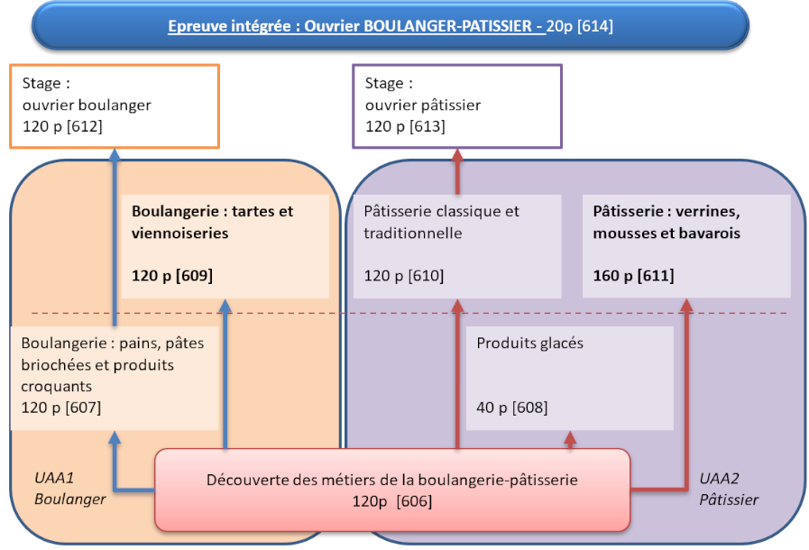 Organigramme : Ouvrier Boulanger-Pâtissier