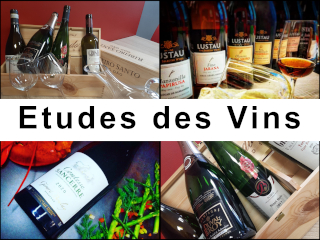 Métiers du vin, Oenologie