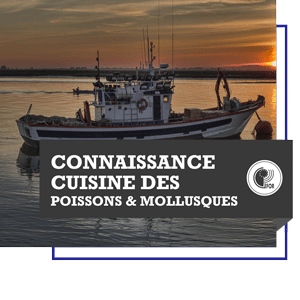 Connaissance et cuisine des poissons, mollusques et crustacés 