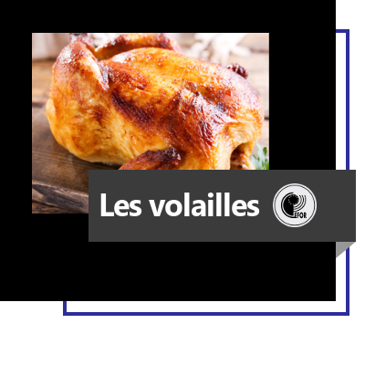 Connaissance et cuisine des volailles 