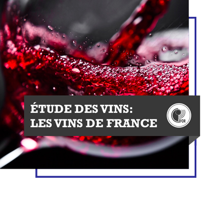 Etude des vins : les vins de France