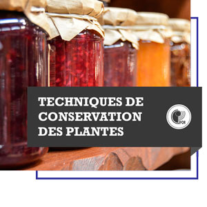 Techniques de conservation des plantes comestibles