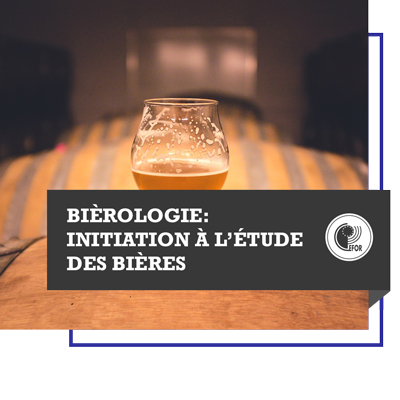 Bièrologie : initiation à l'étude des bières
