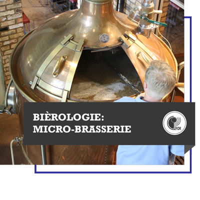 Bièrologie : micro-brasserie
