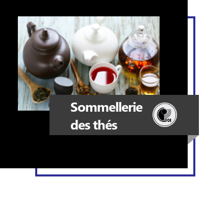 Sommellerie du thé