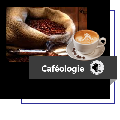 Caféologie