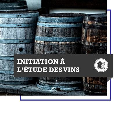 Initiation à l'étude des vins