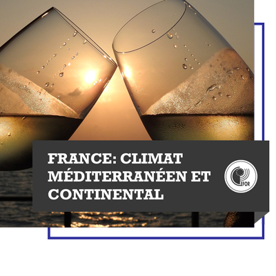 Oenologie : France - climat méditerranéen et continental 1