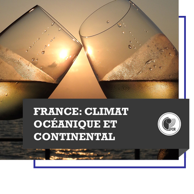 Oenologie : France - climat océanique et continental 2