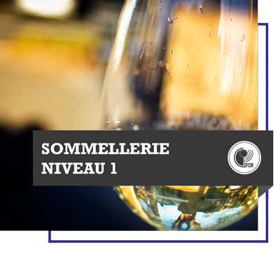 Sommellerie - niveau 1