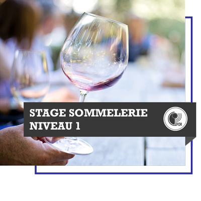 Stage sommellerie - niveau 1