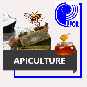 Apiculture