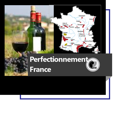 Oenologie : perfectionnement (France)