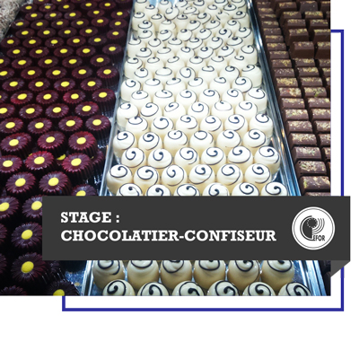 Stage : chocolatier-confiseur
