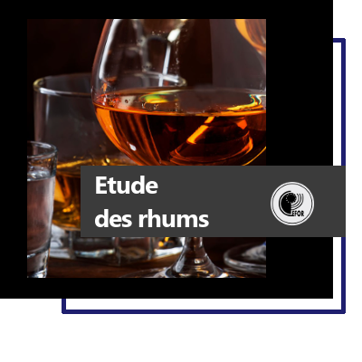 ETUDE DES RHUMS
