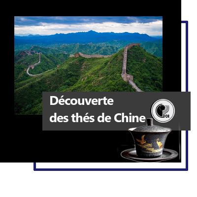 Découverte des thés de Chine