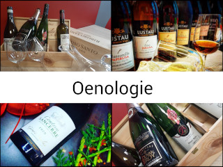 Métiers du vin, oenologie