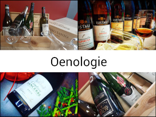 Sommelier