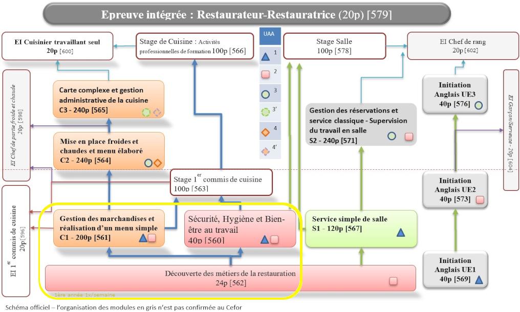 Organigramme : 