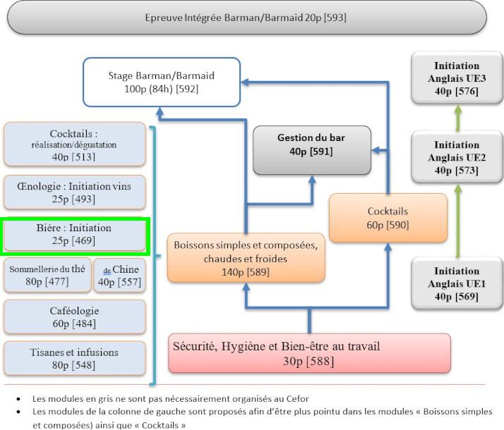 Organigramme : Barman - Connaissance des boissons