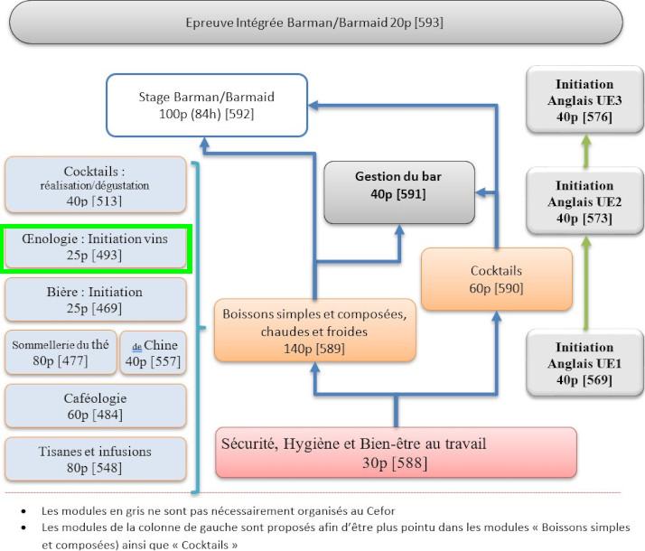 Organigramme : Barman - Connaissance des boissons