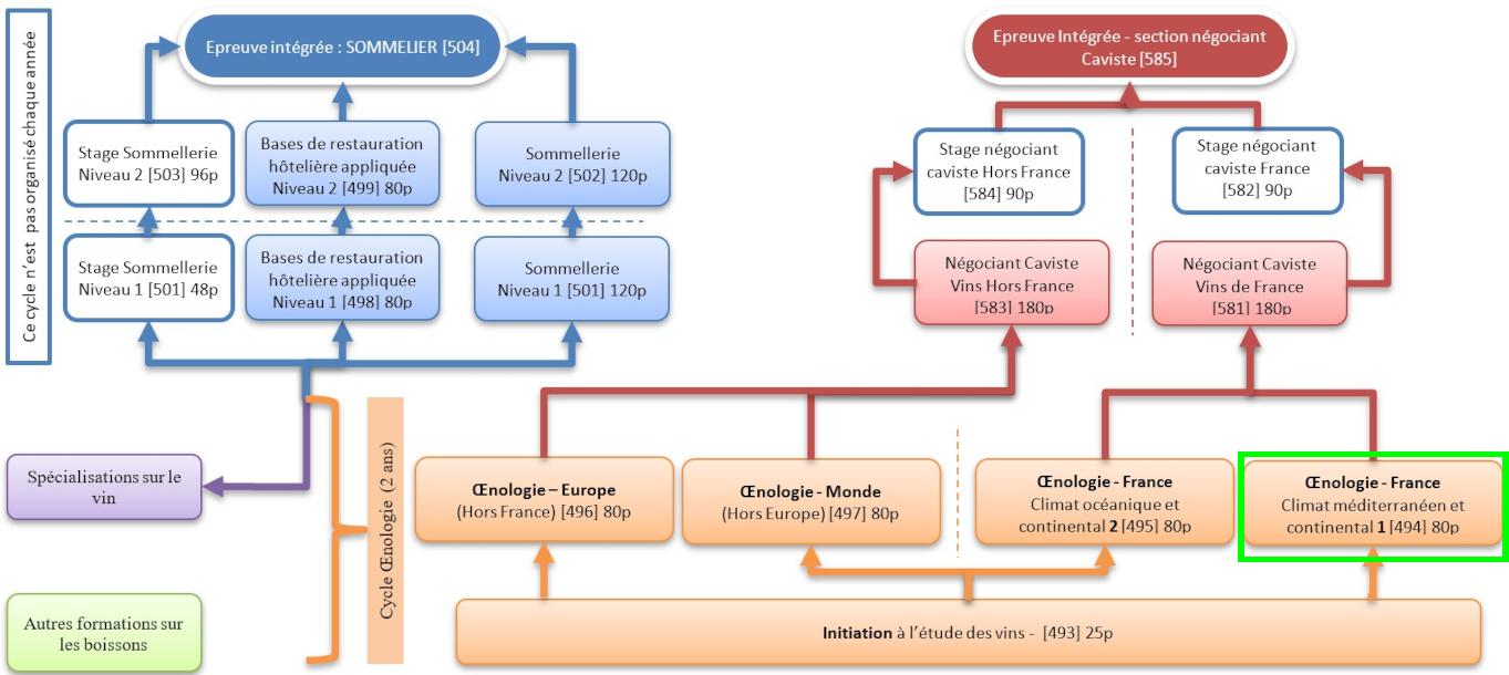 Organigramme : Sommelier-Oenologie-Caviste