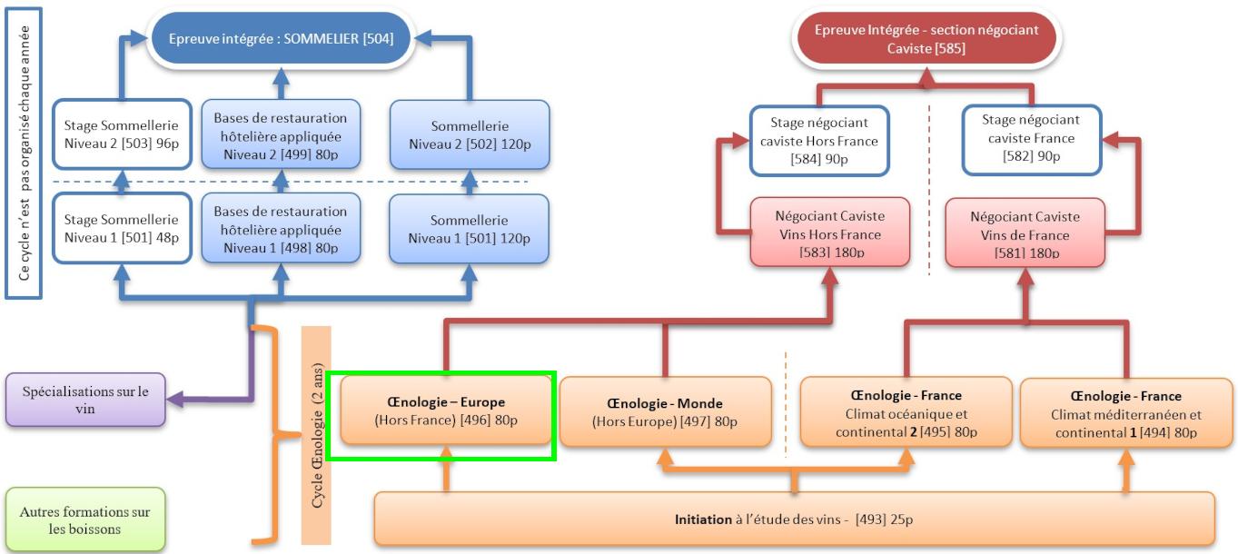 Organigramme : Sommelier-Oenologie-Caviste