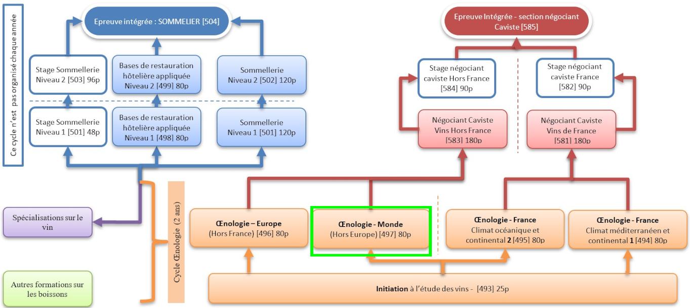 Organigramme : Sommelier-Oenologie-Caviste