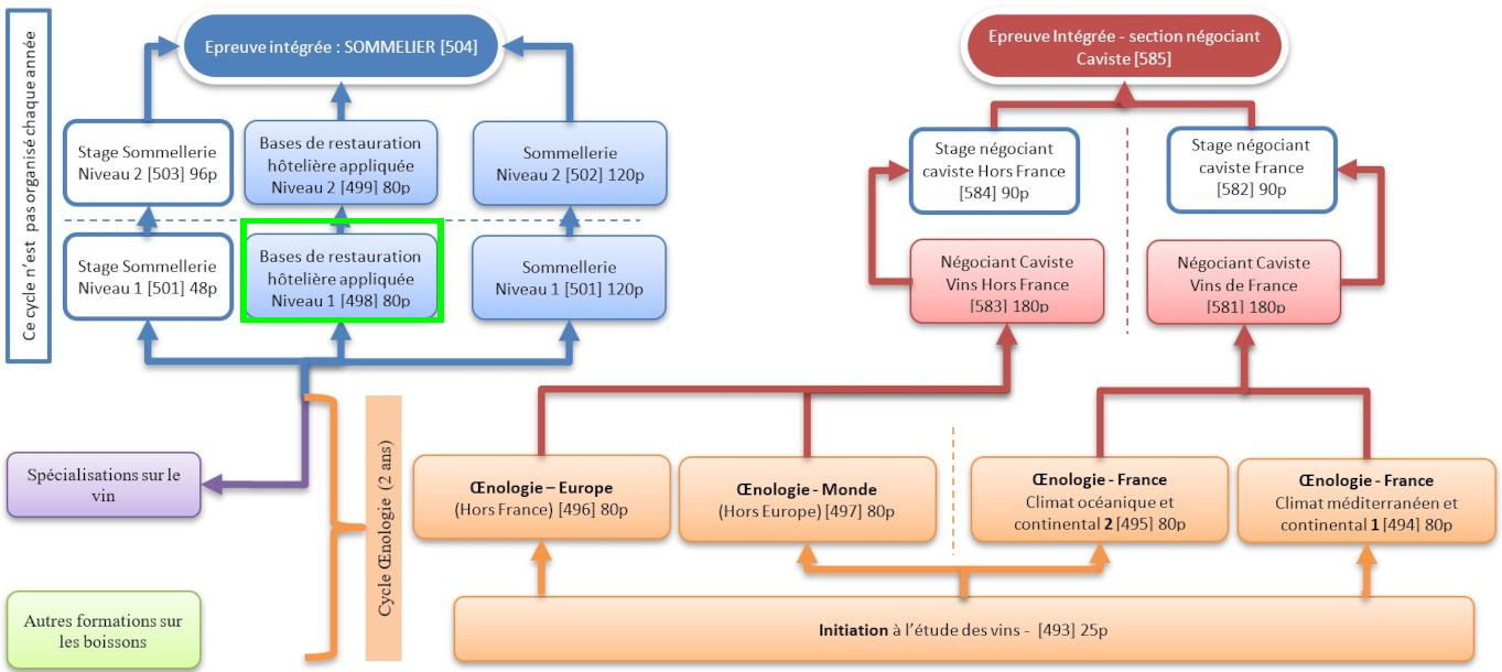 Organigramme : Sommelier-Oenologie-Caviste