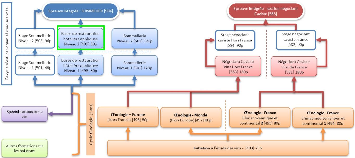 Organigramme : Sommelier-Oenologie-Caviste