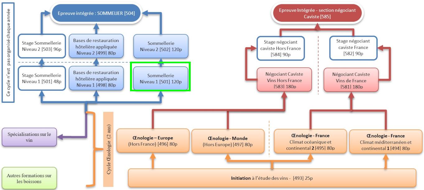 Organigramme : Sommelier-Oenologie-Caviste