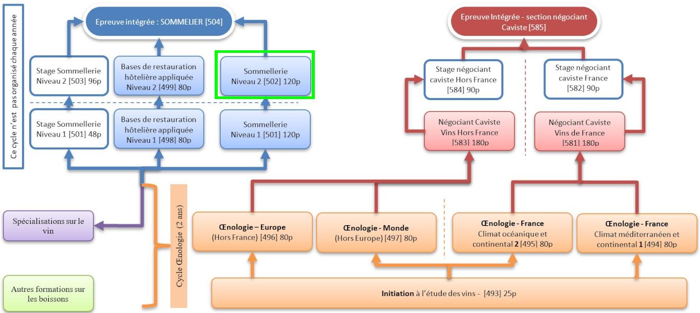 Organigramme : Sommelier-Oenologie-Caviste