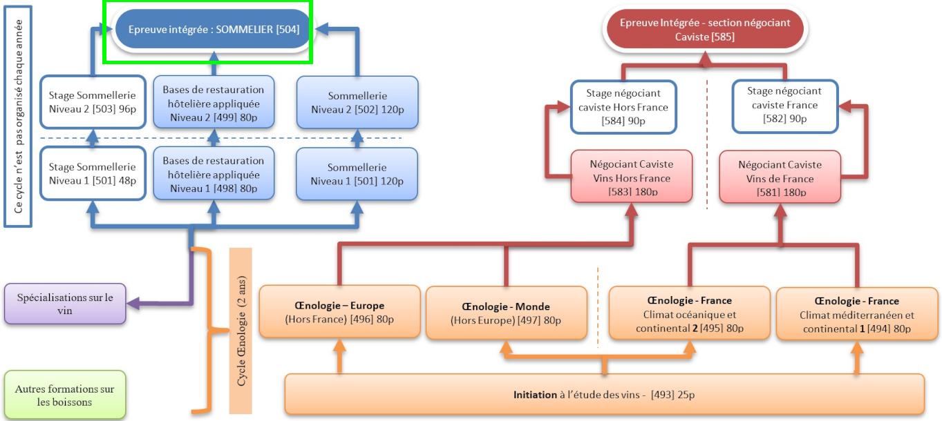 Organigramme : Sommelier-Oenologie-Caviste