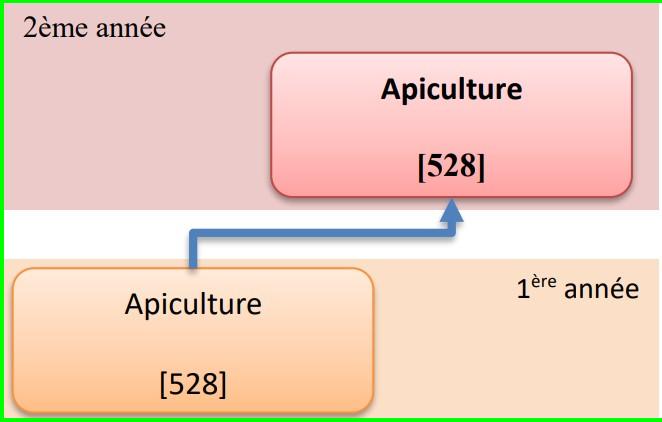 Organigramme : Apiculteur sur 2 ans