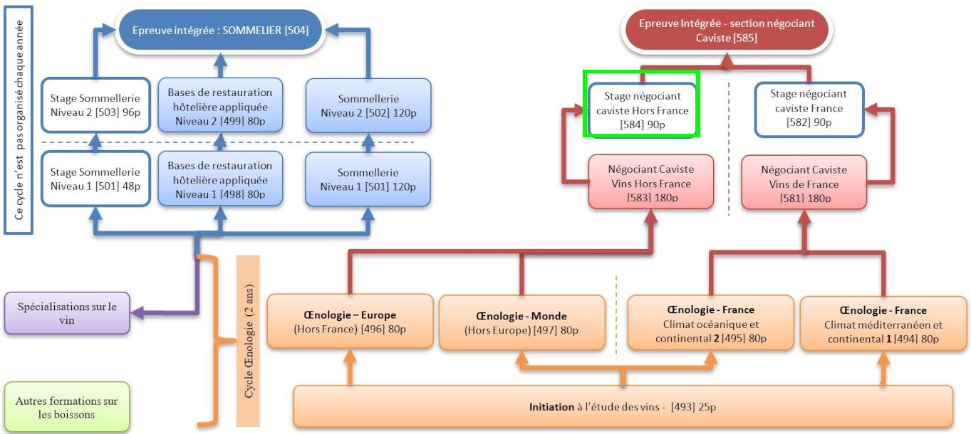 Organigramme : Sommelier-Oenologie-Caviste