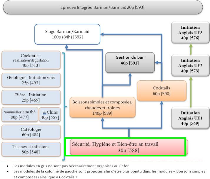 Organigramme : Barman - Connaissance des boissons