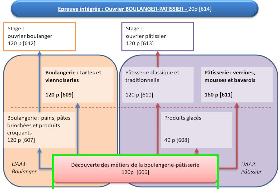 Organigramme : Ouvrier Boulanger-Pâtissier