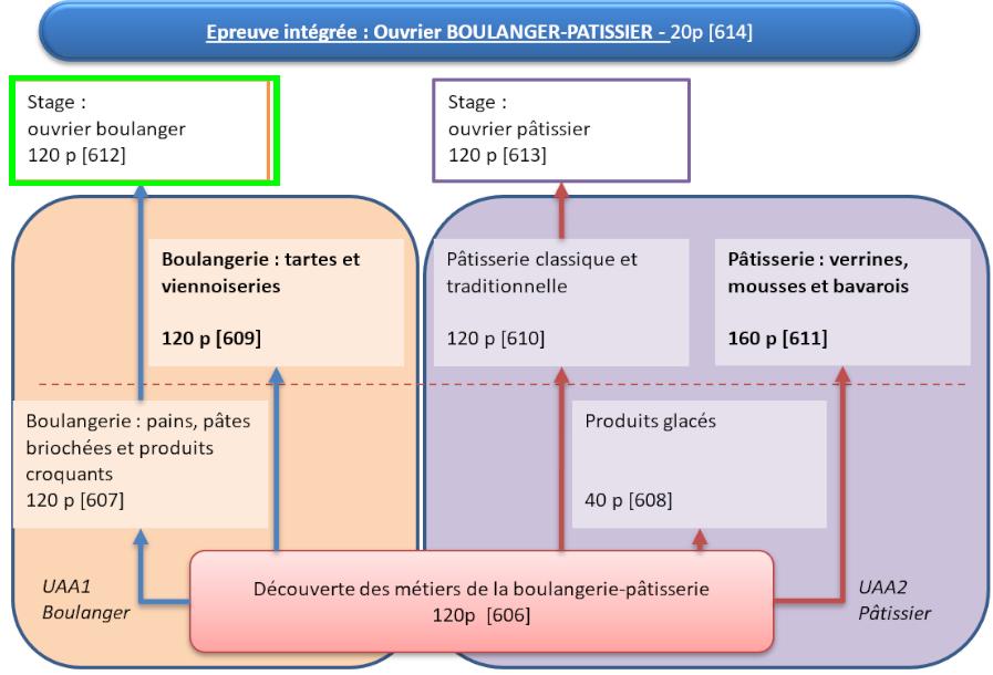 Organigramme : Ouvrier Boulanger-Pâtissier