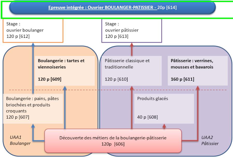 Organigramme : Ouvrier Boulanger-Pâtissier