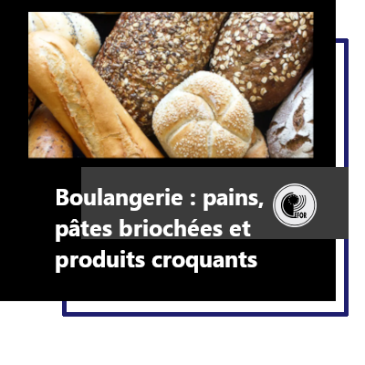 BOULANGERIE : pains, pâtes briochées et produits croquants